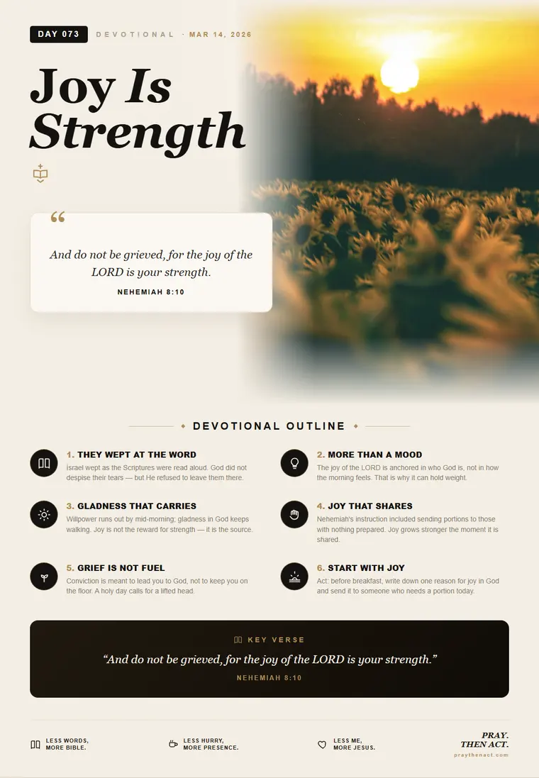 Day 073 — Joy Is Strength