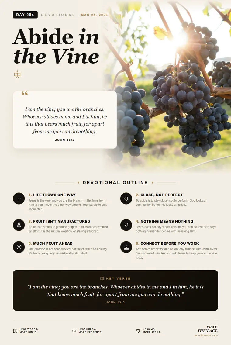 Day 084 — Abide in the Vine