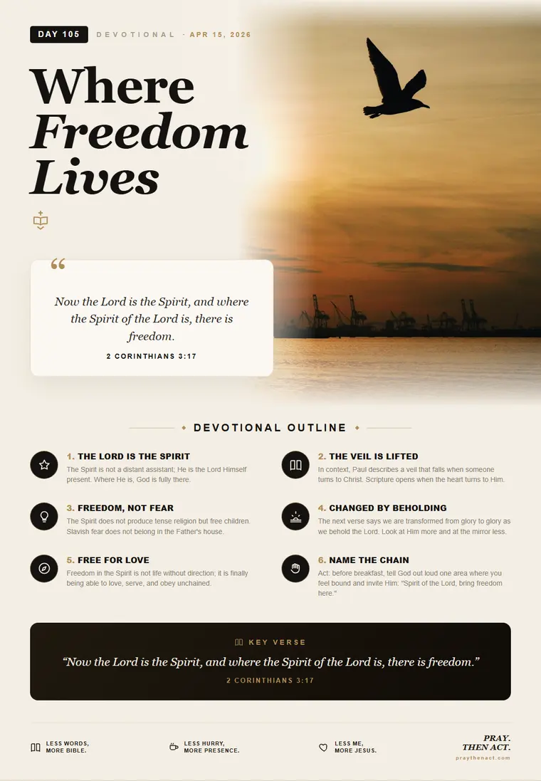 Day 105 — Where Freedom Lives