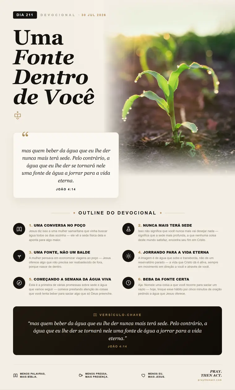 Dia 211 — Um Rumo que Permanece