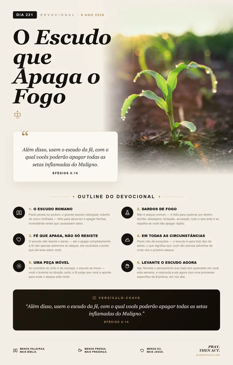 DIA 221 — Uma Resposta Imediata