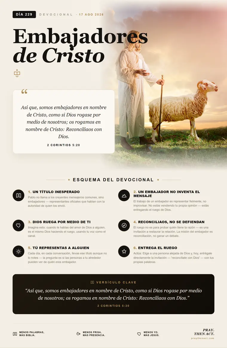Día 229 — Paz Que Permanece
