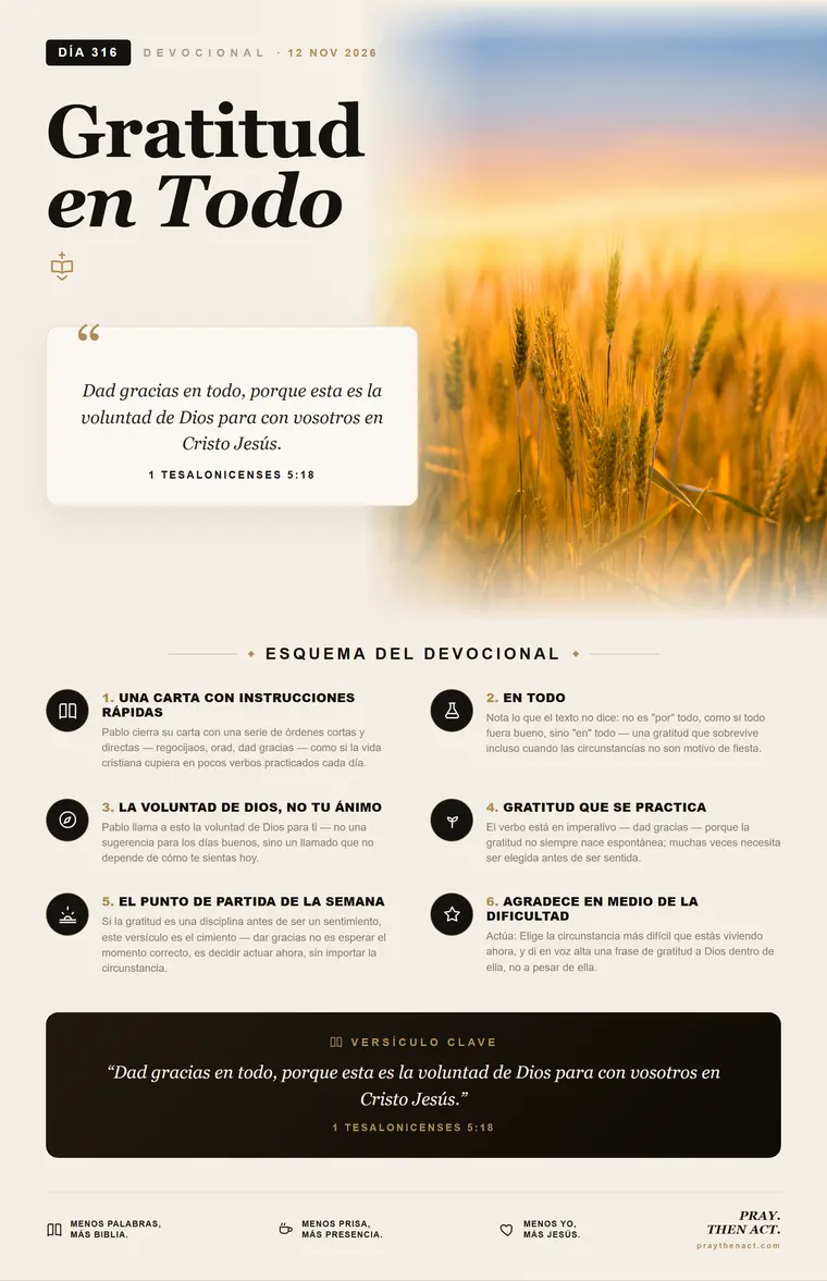 Día 316 — Señor Mío y Dios Mío